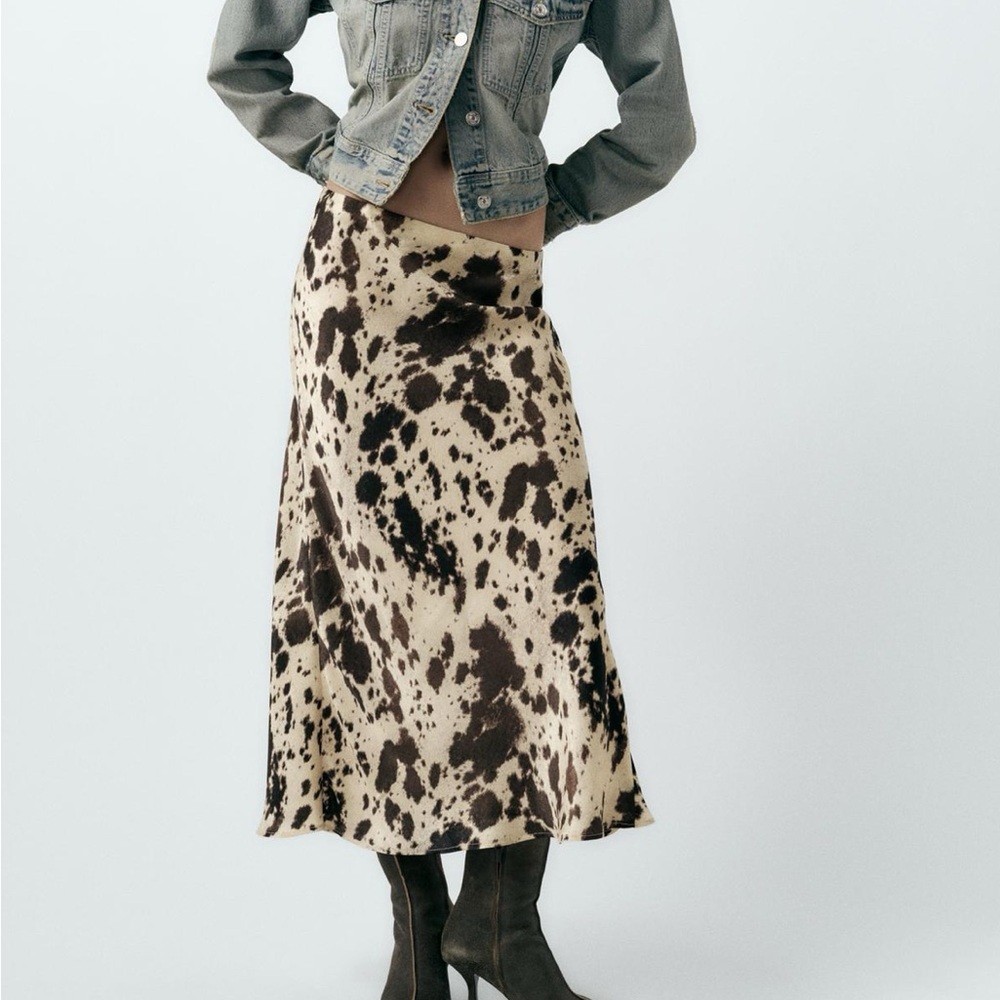 Zara midi skirt